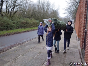 Miniature af billede nummer 11533