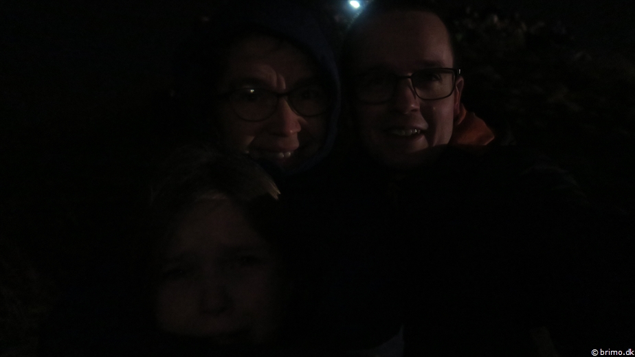 Billede nummer 11529