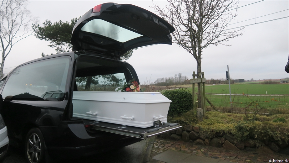 Billede nummer 11532