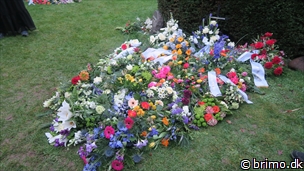 Miniature af billede nummer 12517