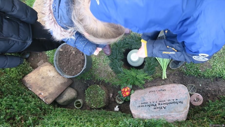 Billede nummer 12520