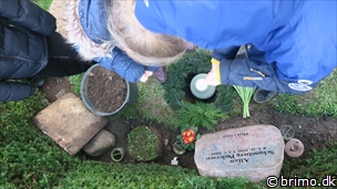 Miniature af billede nummer 12520