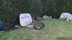 Miniature af billede nummer 12521