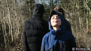 Miniature af billede nummer 12525