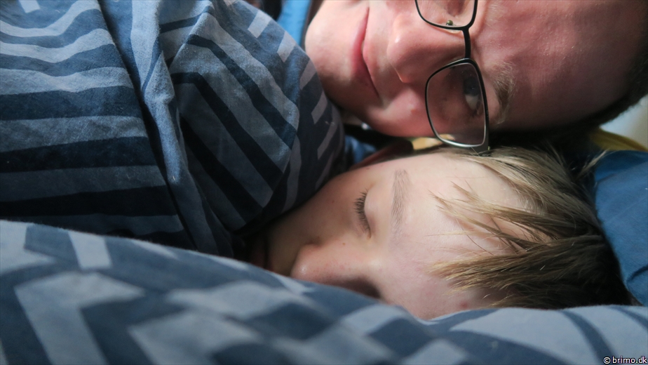 Billede nummer 12529