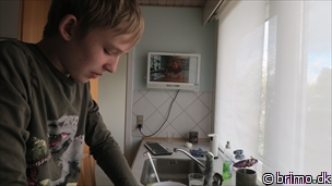 Miniature af billede nummer 12534