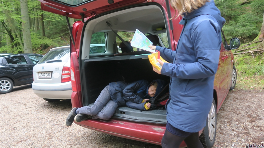 Billede nummer 12536