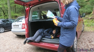 Miniature af billede nummer 12536