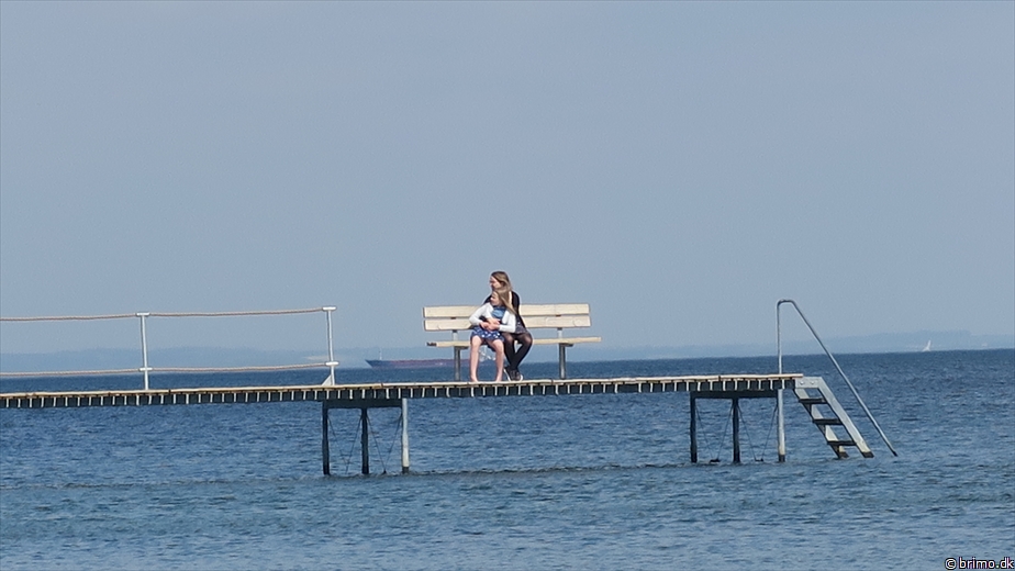 Billede nummer 12540