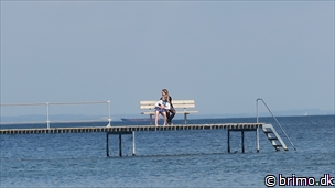 Miniature af billede nummer 12540