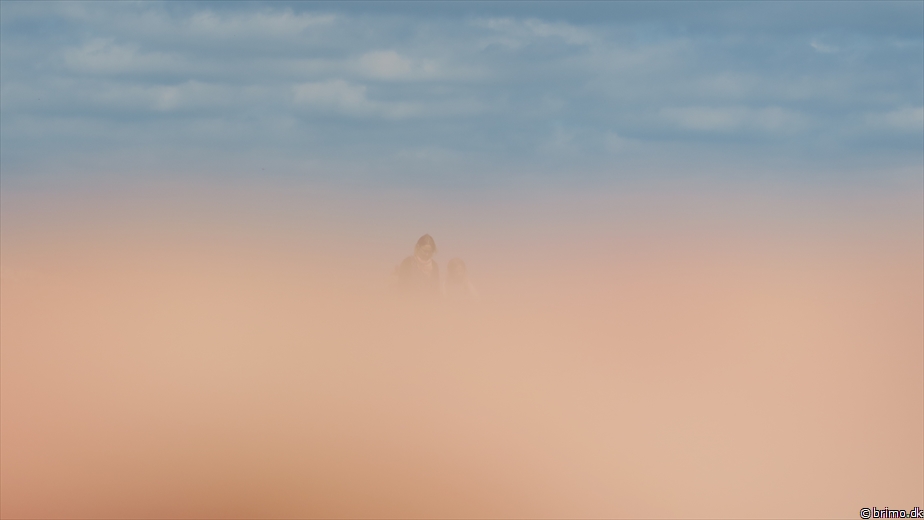 Billede nummer 12541