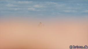 Miniature af billede nummer 12541