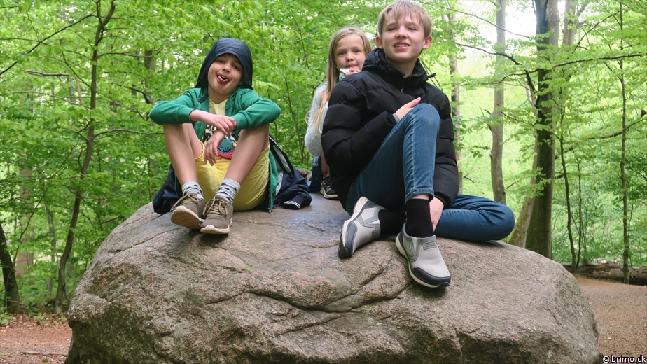 Billede nummer 12543