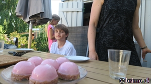 Miniature af billede nummer 12545