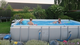 Miniature af billede nummer 12546