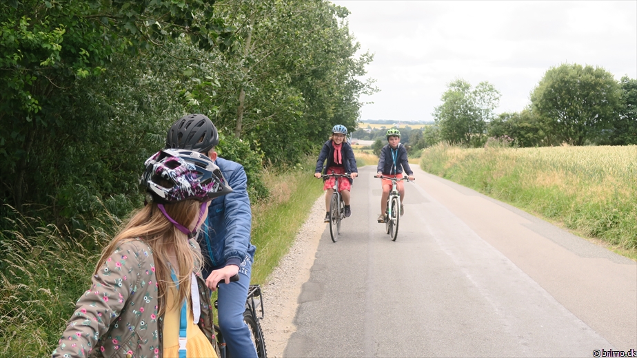 Billede nummer 12549