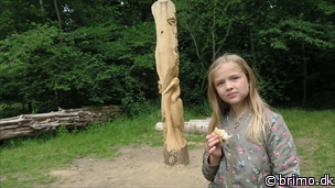 Miniature af billede nummer 12552