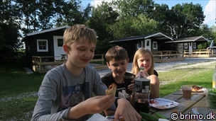 Miniature af billede nummer 12572