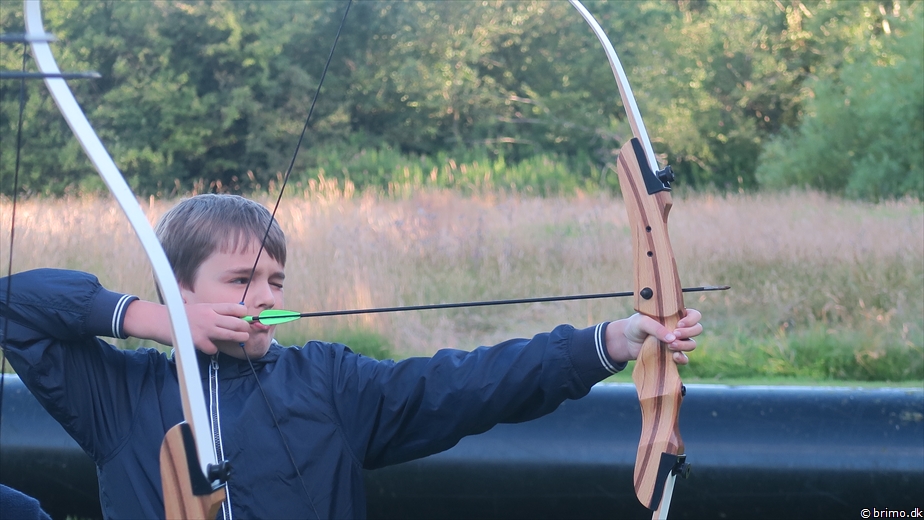 Billede nummer 12575