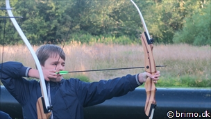 Miniature af billede nummer 12575