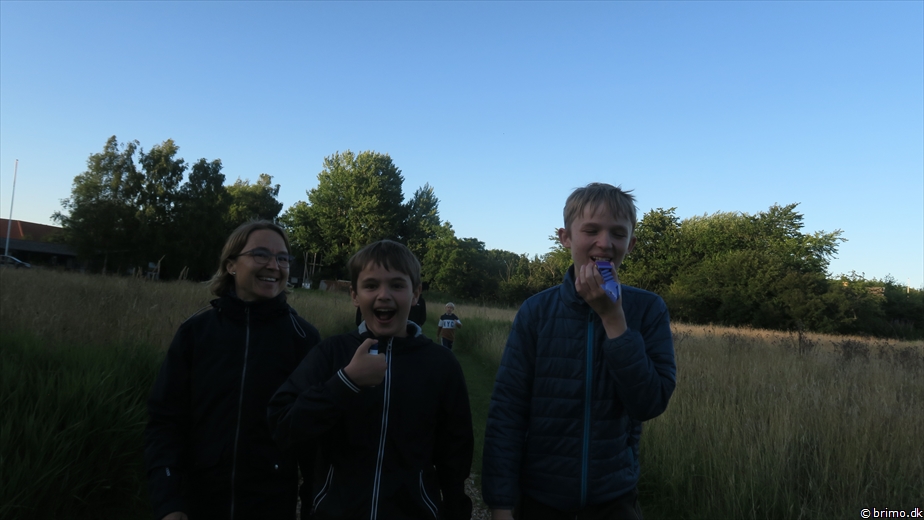 Billede nummer 12577