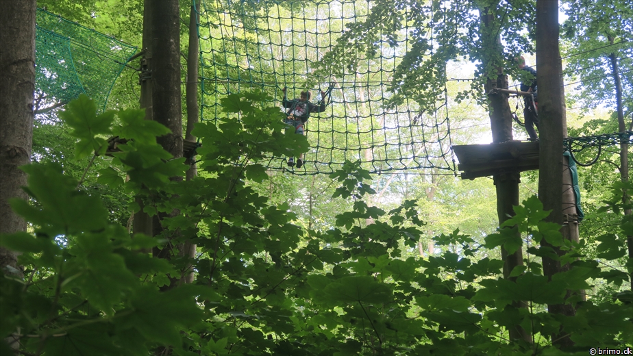 Billede nummer 12584