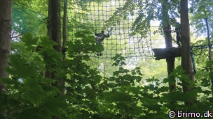 Miniature af billede nummer 12584