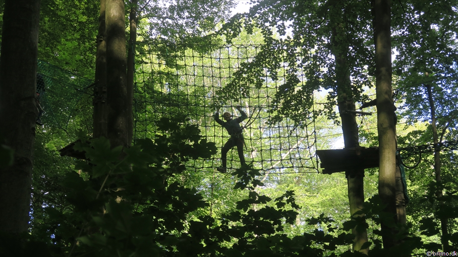 Billede nummer 12585