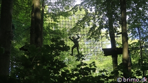 Miniature af billede nummer 12585