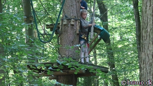 Miniature af billede nummer 12586