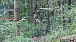 Miniature af billede nummer 12588