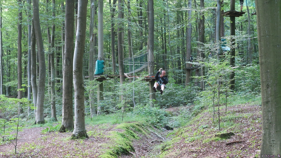 Billede nummer 12589