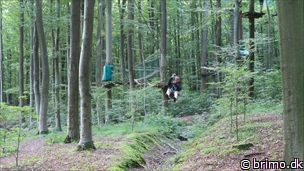 Miniature af billede nummer 12589