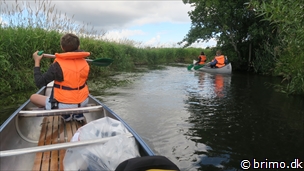 Miniature af billede nummer 12590