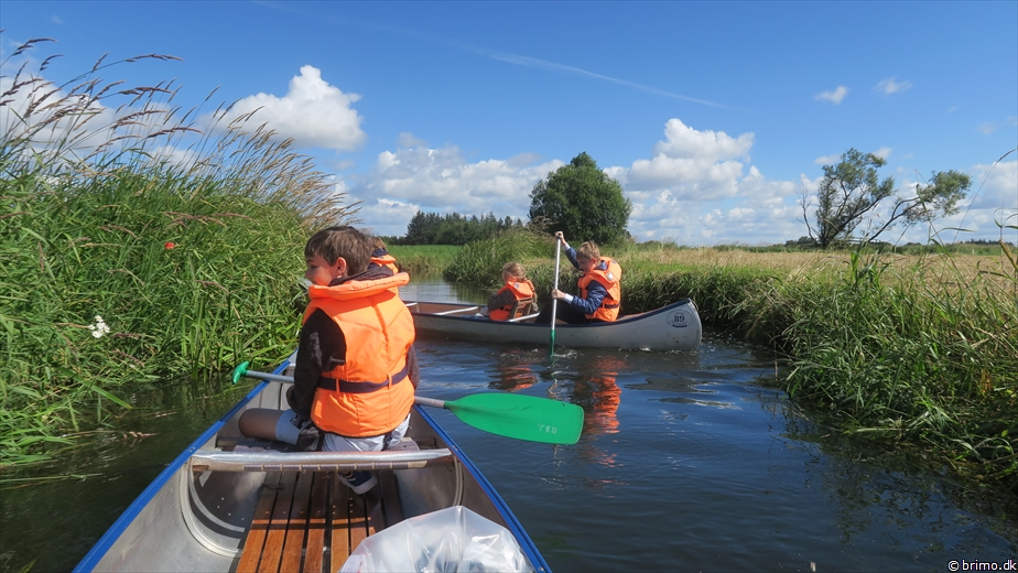 Billede nummer 12591