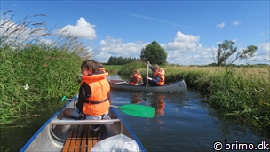 Miniature af billede nummer 12591