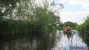 Miniature af billede nummer 12592