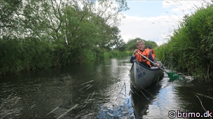 Miniature af billede nummer 12593