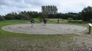 Miniature af billede nummer 12602