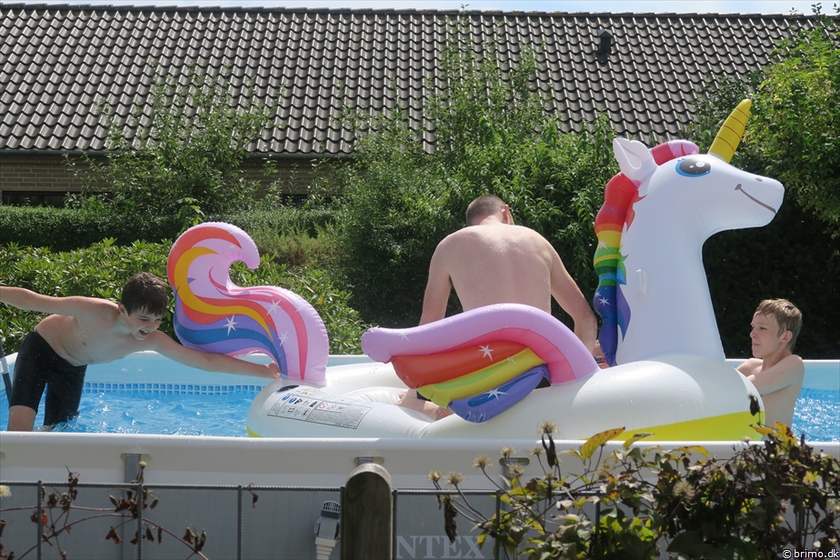 Billede nummer 12606