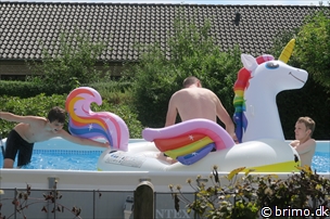 Miniature af billede nummer 12606