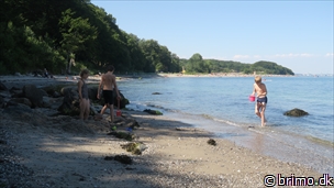 Miniature af billede nummer 12613