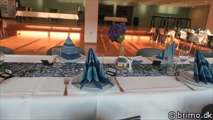 Miniature af billede nummer 12617