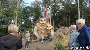 Miniature af billede nummer 12640