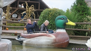 Miniature af billede nummer 12646