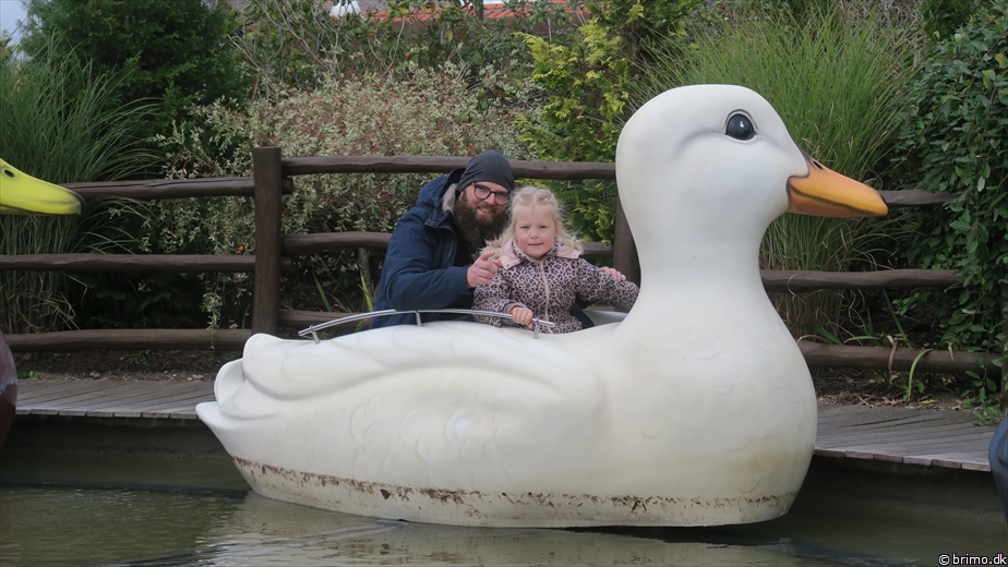 Billede nummer 12647