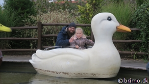 Miniature af billede nummer 12647