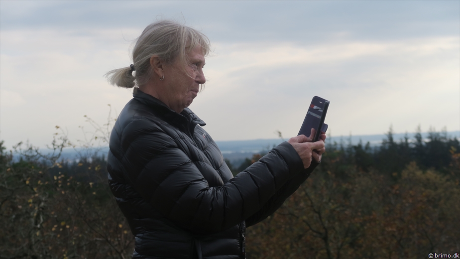 Billede nummer 12658