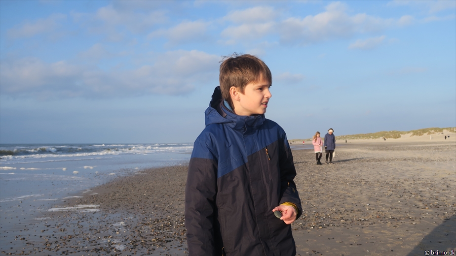 Billede nummer 12661