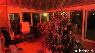 Miniature af billede nummer 12667